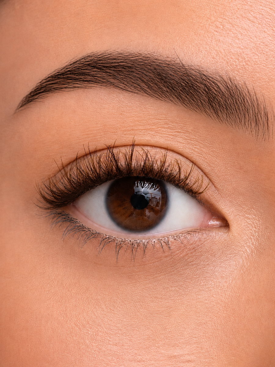 MAXCOMFI 3D Breeze Dark Brown Natural Wispy Spider Lash Cluster