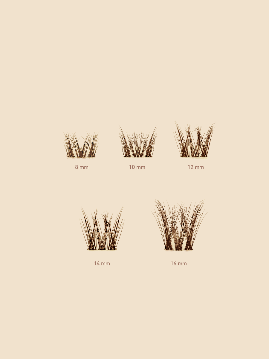 MAXCOMFI Iris Dark Brown Bunny Eye Aesthetics Lash Cluster Kit